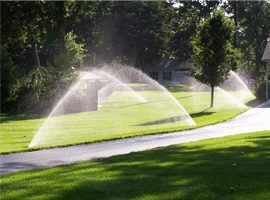 Read more about the article Keeping Your Lawn Green & Your Water Bill Low