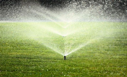 Read more about the article Overview of Automatic Sprinkler Systems