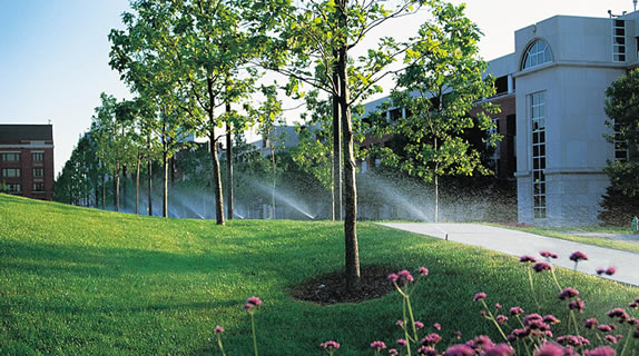Read more about the article How To Turn Your Sprinkler System On
